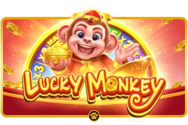 24 bet casino